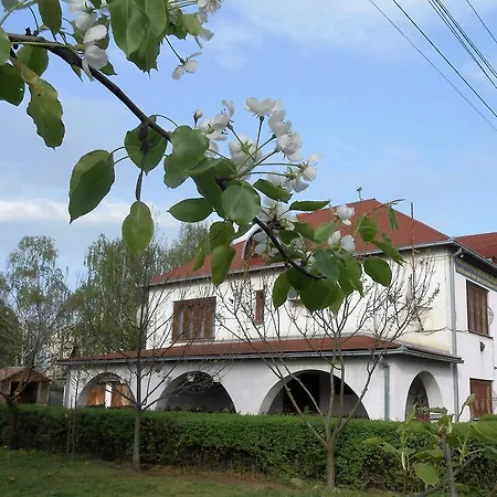 Marketti * Vynohradiv