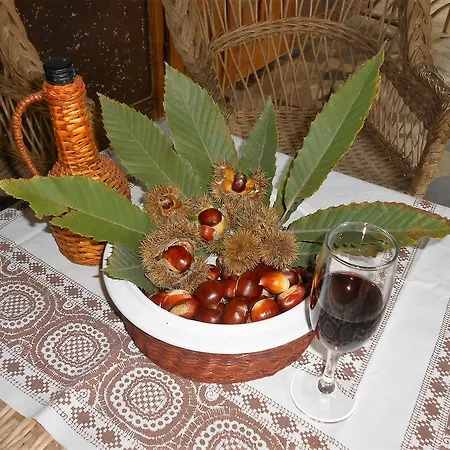 Guest house Marketti
