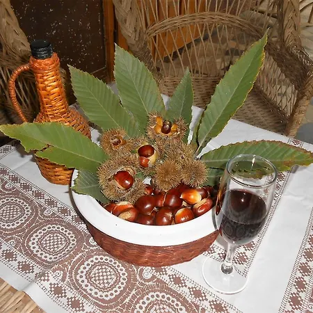 Guest house Marketti