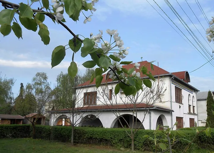 Marketti * Vynohradiv