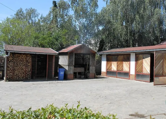 Marketti Casa de hóspedes Vynohradiv