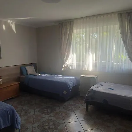 Marketti فينوغراديف