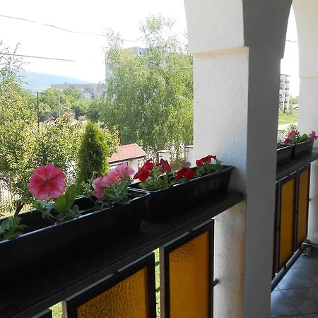 بيت ضيافة Marketti *