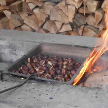 بيت ضيافة Marketti فينوغراديف