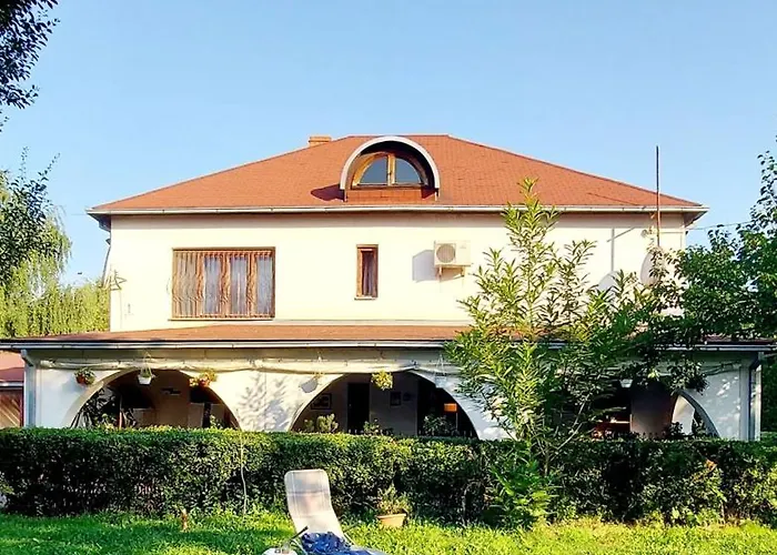 Marketti * Vynohradiv