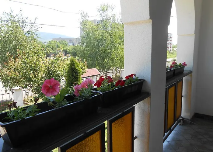 Guest house Marketti *